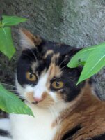 PXL_20250815_213023176