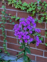 PXL_20250815_213157728