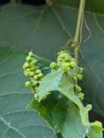 PXL_20250815_214901767