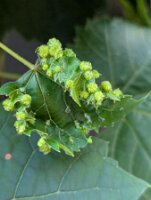 PXL_20250815_214931981