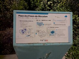 PXL_20250816_054721378