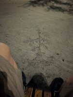 PXL_20250816_055646204