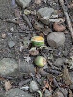 PXL_20250821_232302490.MP