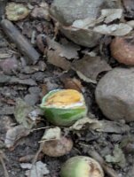 PXL_20250821_232329090