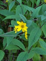 PXL_20250821_233157492