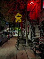 PXL_20250830_044531174.NIGHT