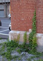 PXL_20250903_233557104.MP