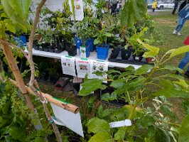 PXL_20250906_175217674