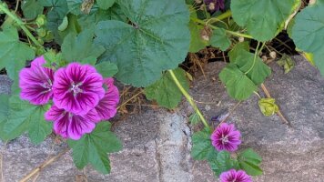 PXL_20250924_204458073