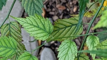 PXL_20250924_205228840.PORTRAIT